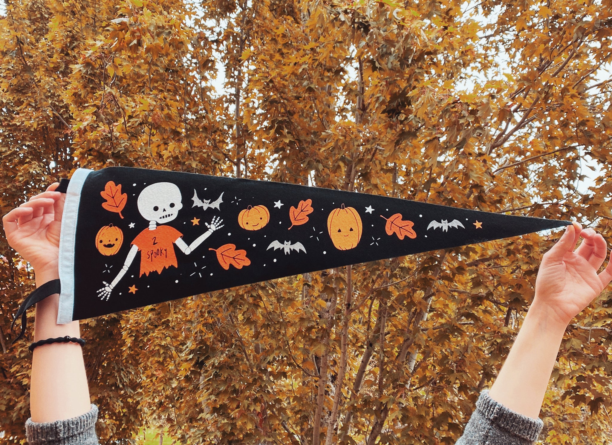 Halloween Pennants (In Stock)